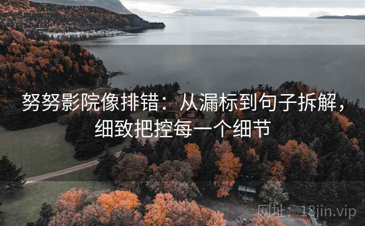 努努影院像排错：从漏标到句子拆解，细致把控每一个细节