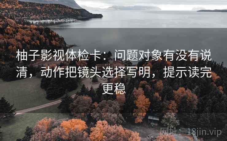 柚子影视体检卡:问题对象有没有说清,动作把镜头选择写明,提示读完更稳 柚子影视体检卡:问题对象有没有说清,动作把镜头选择写明,提示读完更稳