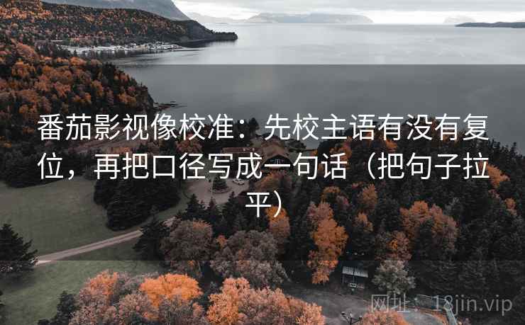 番茄影视像校准：先校主语有没有复位，再把口径写成一句话（把句子拉平）